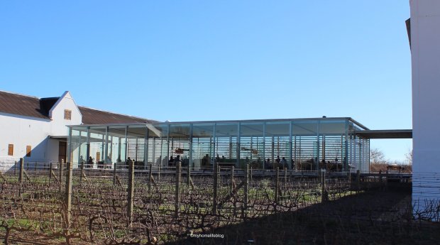 Wine tasting at Babylonstoren - glass walls let in natural light and give you a view over a vineyard block.