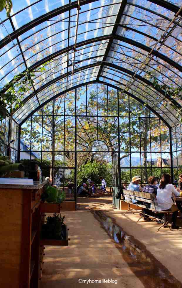 The Greenhouse Restaurant - Babylonstoren